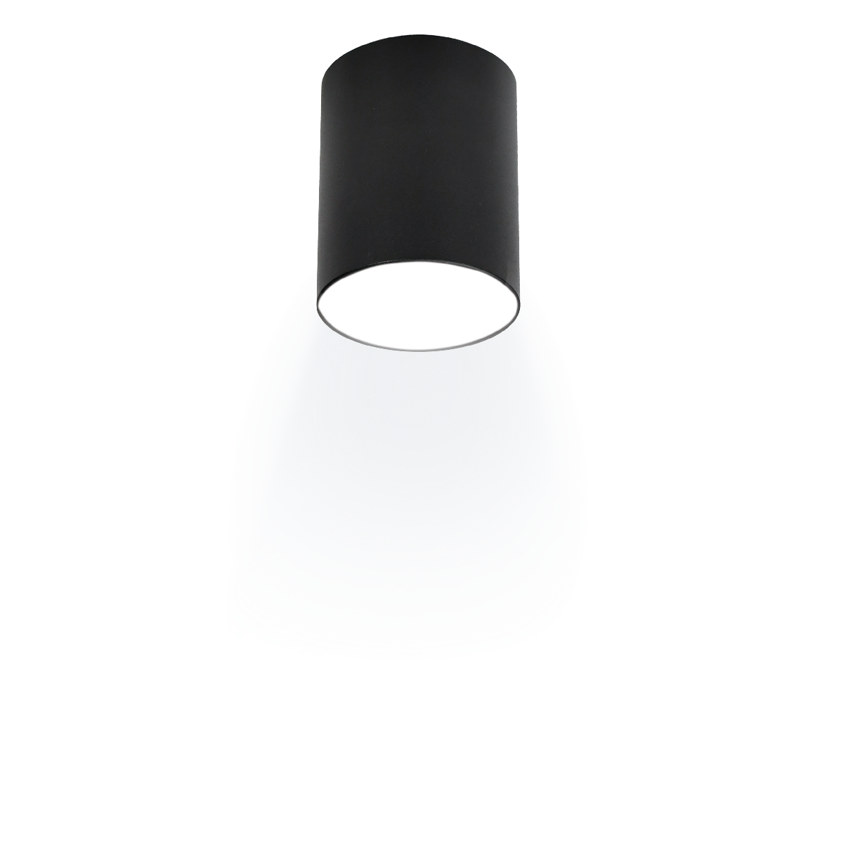 Накладной светильник Ritter Arton 59979 1