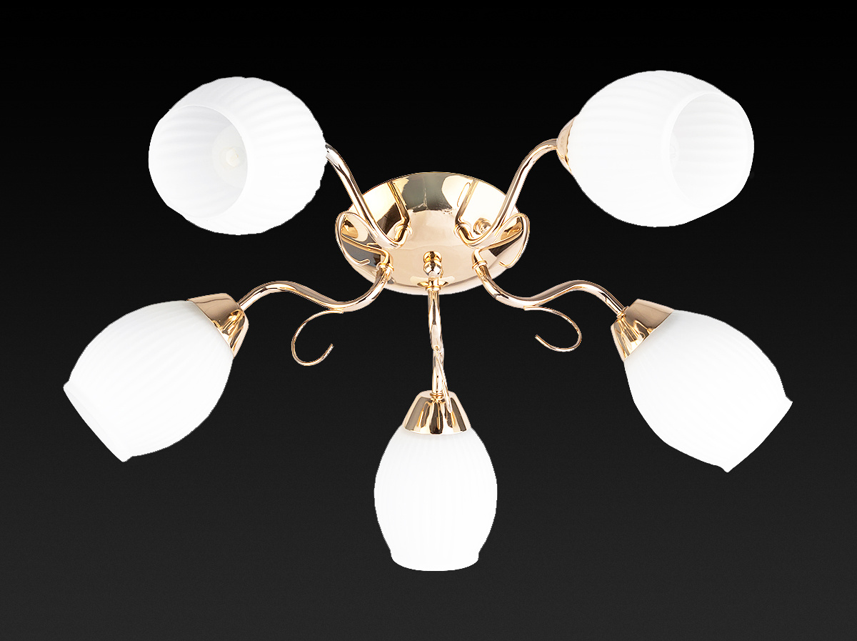 Потолочная люстра Toplight Kristin TL3520X-05FG