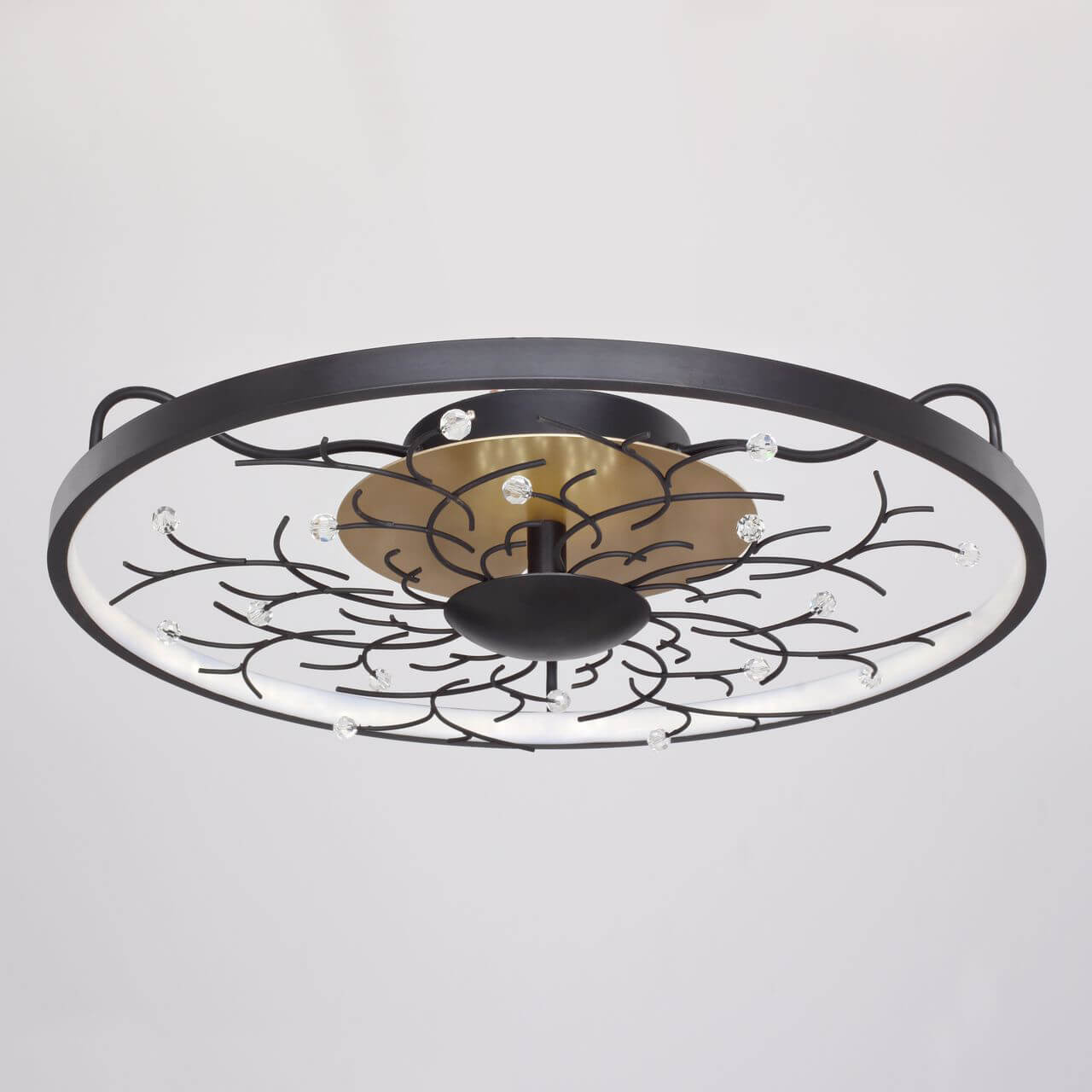 Потолочный светодиодный светильник Favourite Waltz 2520-6C