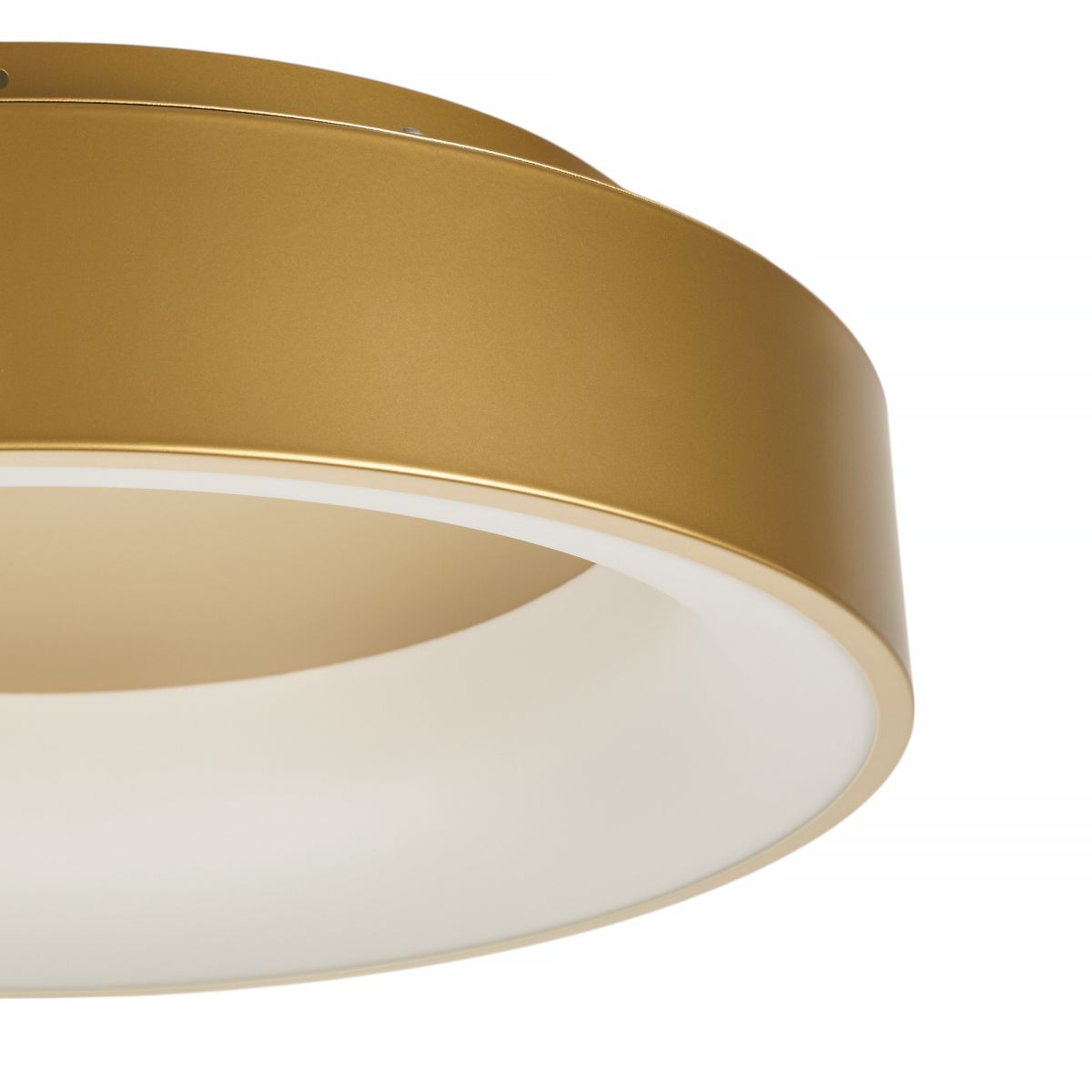 Потолочный светильник Myfar Shannon MR2195-1PL