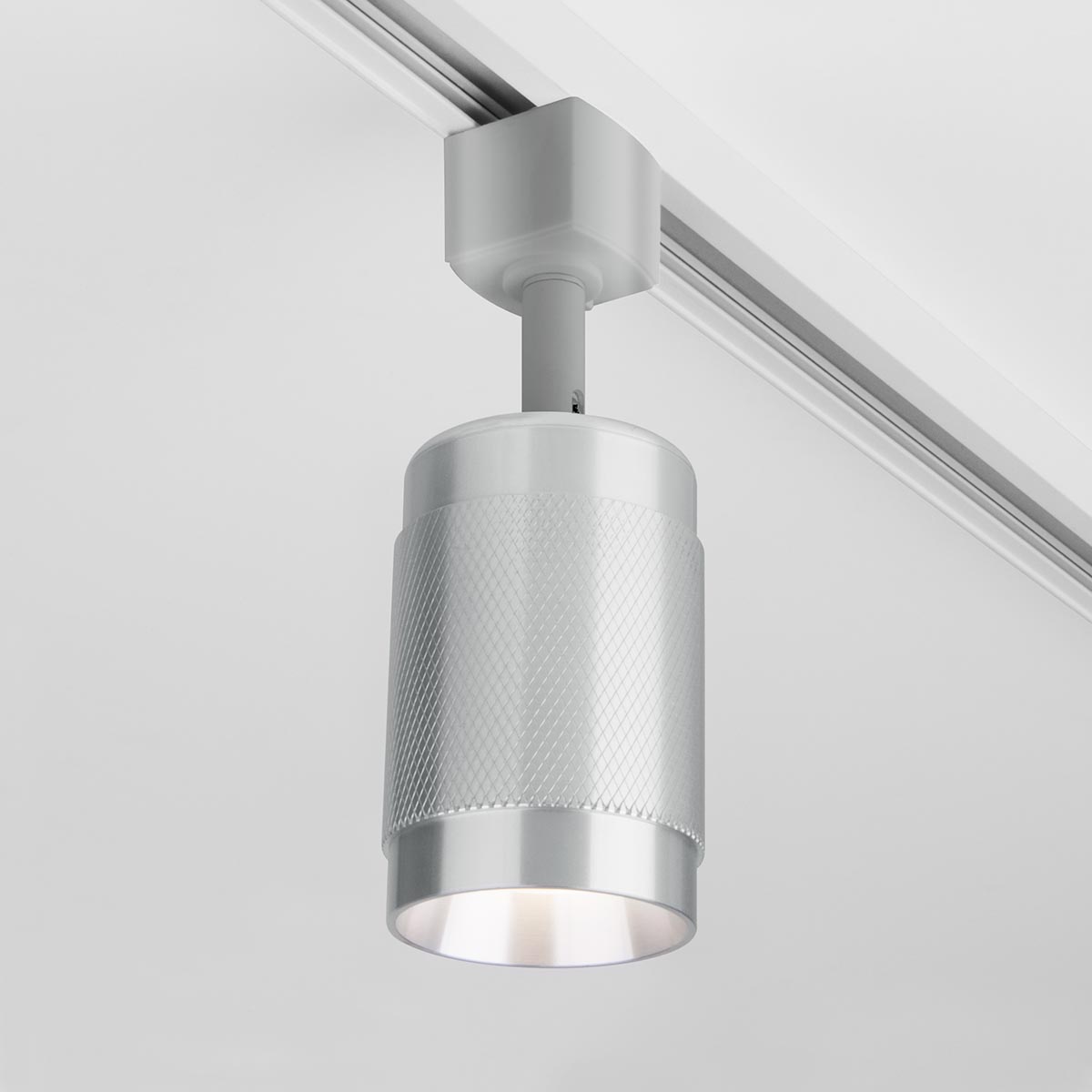 Трековый светильник Elektrostandard Tony GU10 Серебро (MRL 1012) однофазный 4690389149634