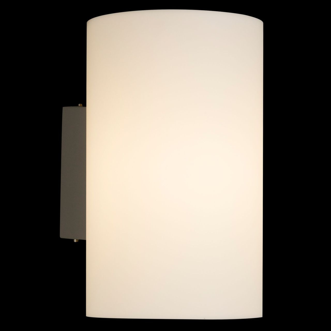 Уличный настенный светильник Maytoni Camden O008WL-01S