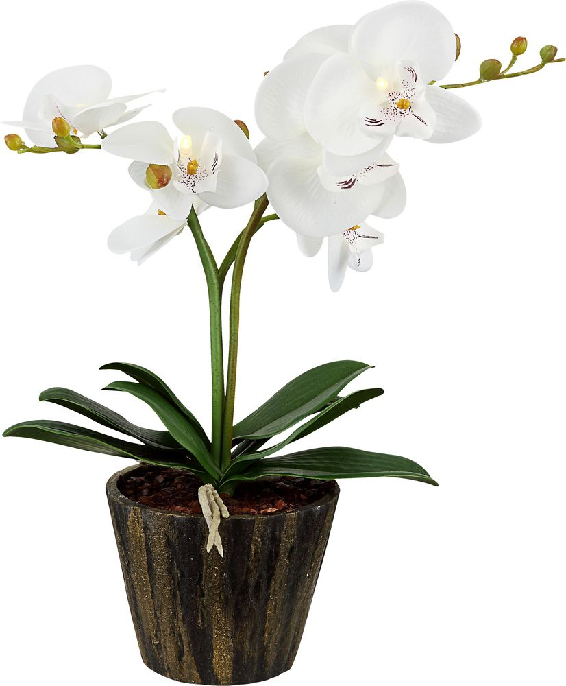 Настольная лампа прикроватная Globo Flowerpower 28002