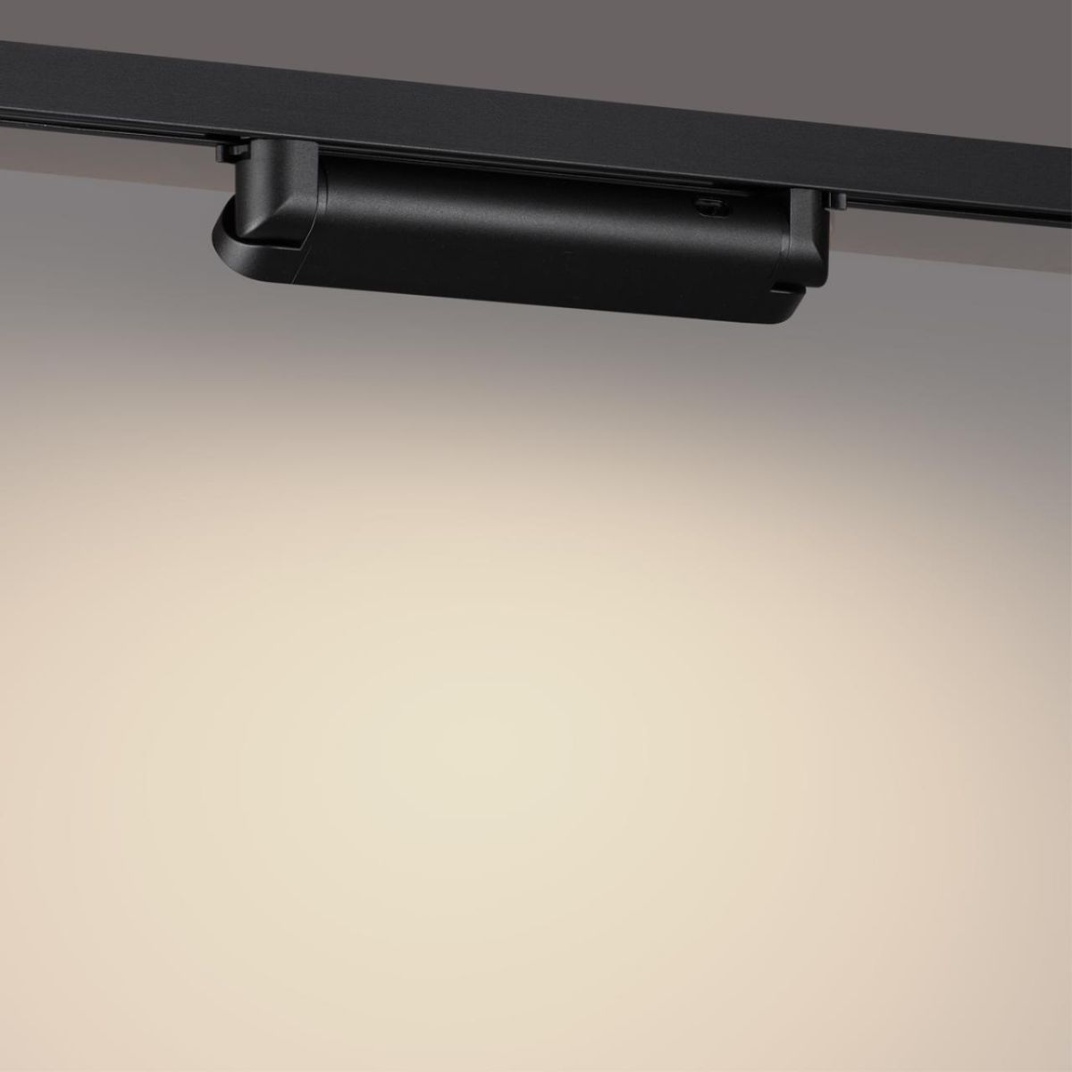 Трековый однофазный трехжильный светильник с переключателем цветовой температуры Novotech Port Iter 359796