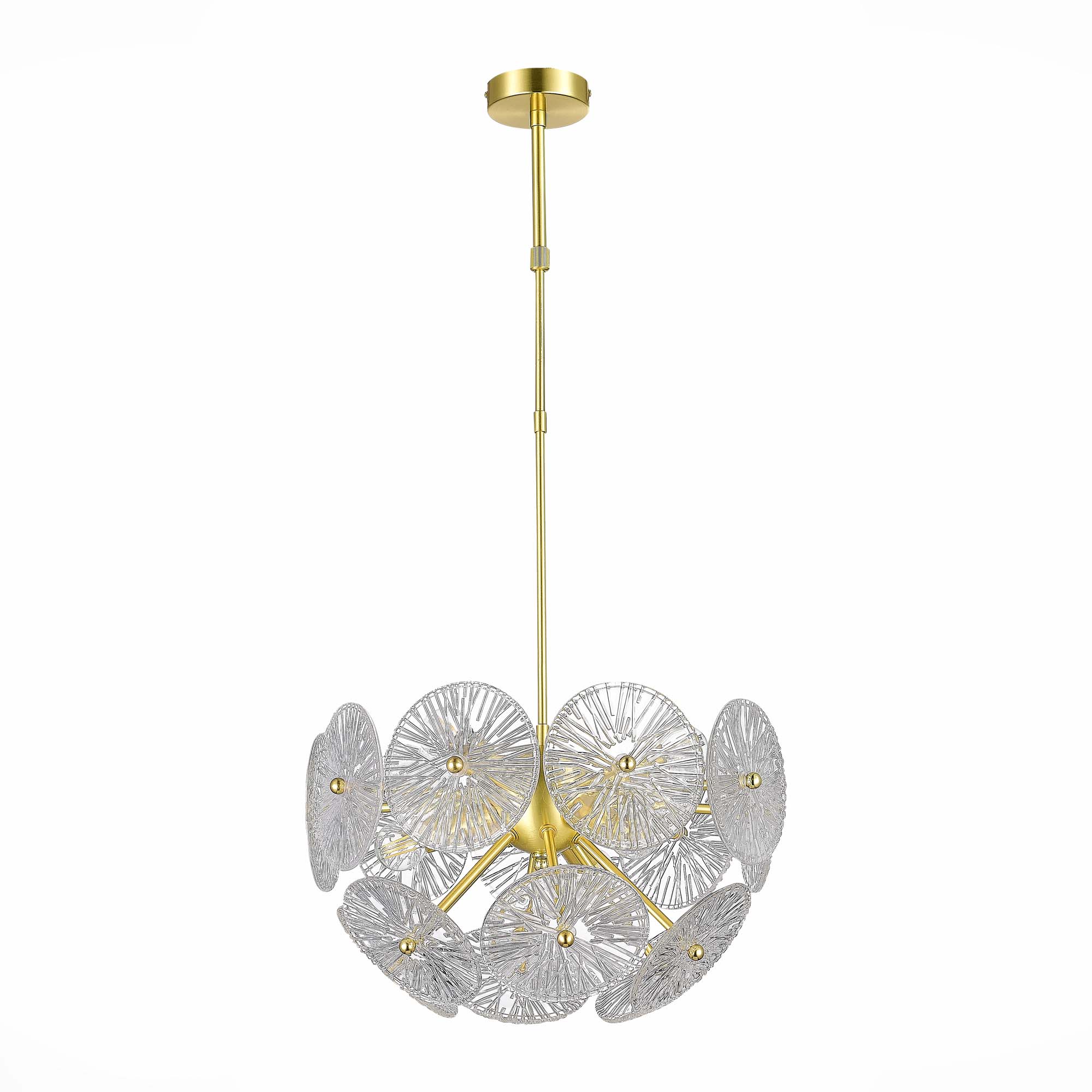 Подвесная люстра ST Luce Flero SL1657.203.06