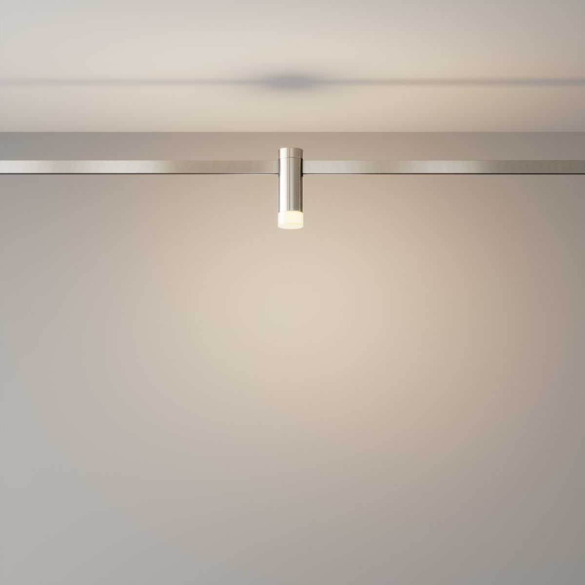 Трековый магнитный светильник Maytoni Skim TR145-1-3W3K-W-PT