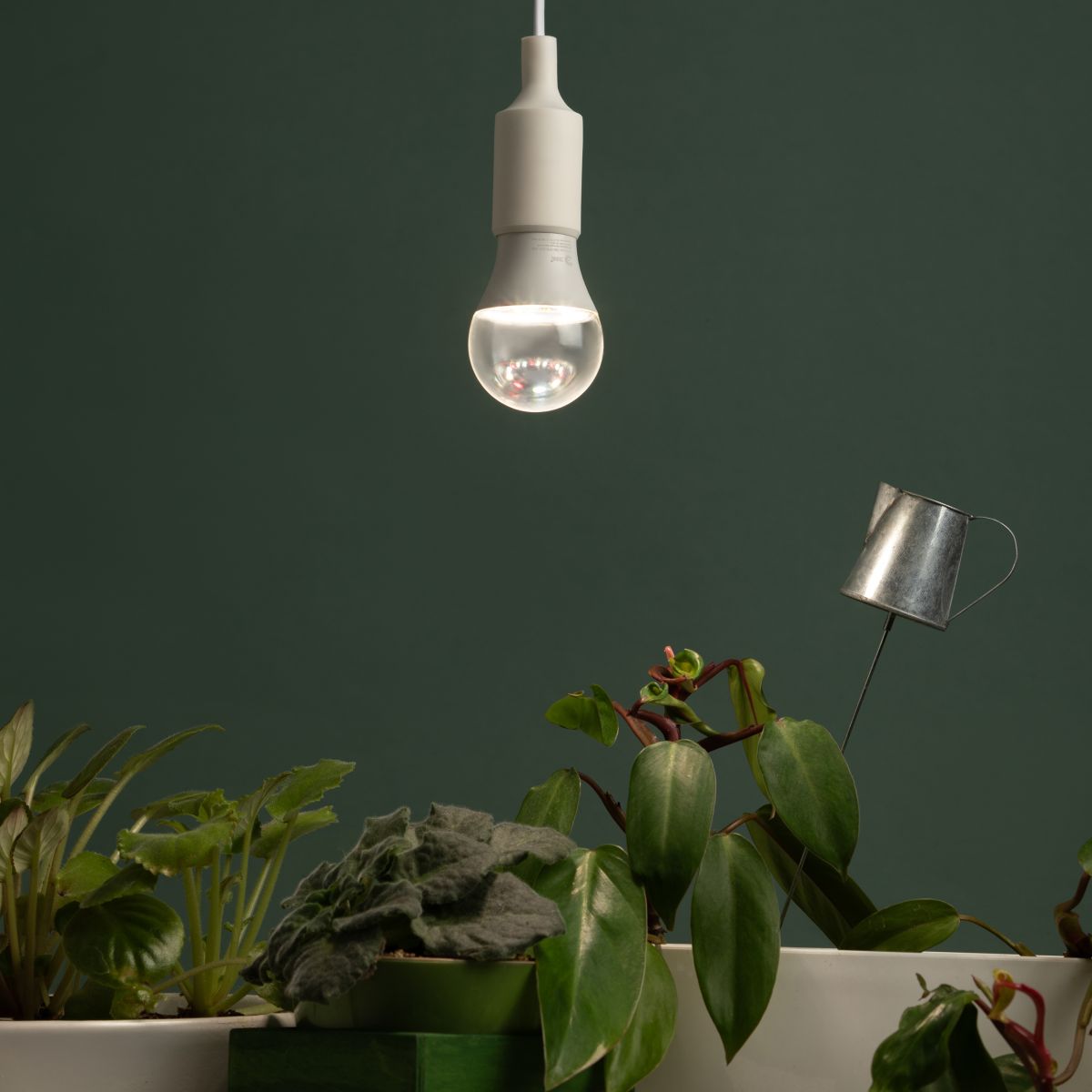 Светодиодная фитолампа для растений Эра ФИТО А60-15W-PFR-E27-GR Б0064527