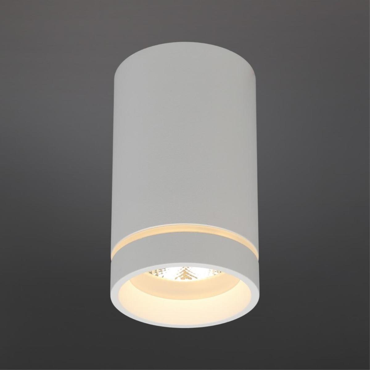 Потолочный светильник Aployt Edda APL.0053.09.10