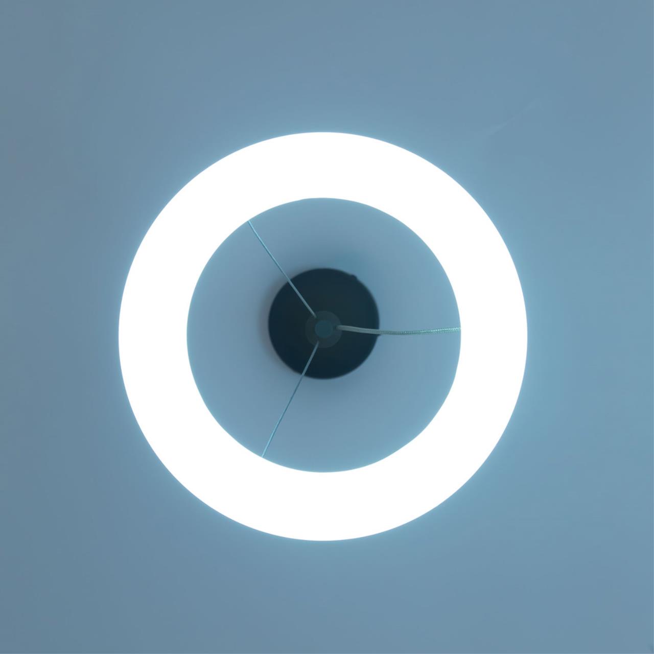 Подвесной светильник Citilux Паркер CL225B115 в Москве