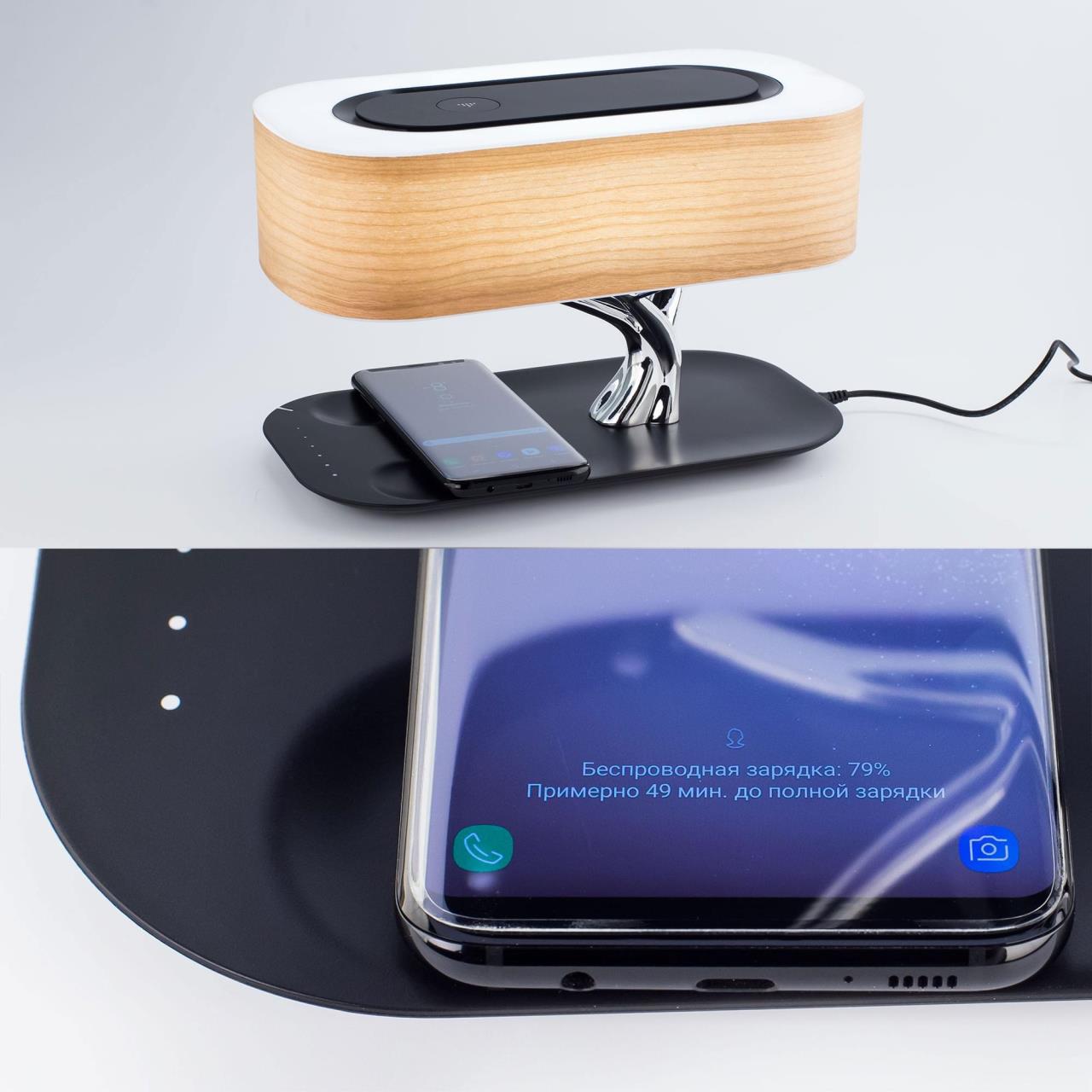 Настольная лампа Citilux Ньютон CL803042 в Москве