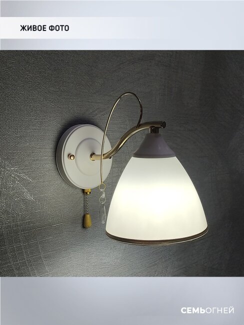 Белое бра металлическое Wedo Light Dzintars WD3523/1W-WT-FGD-WT