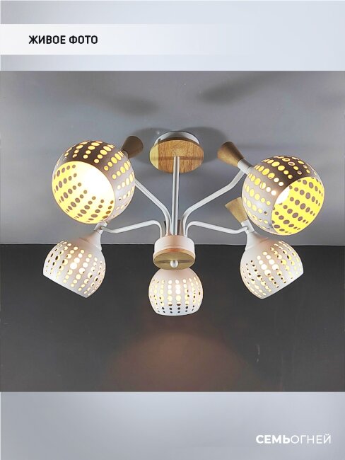 Люстра на штанге Wedo Light Florinda 66167.01.09.05