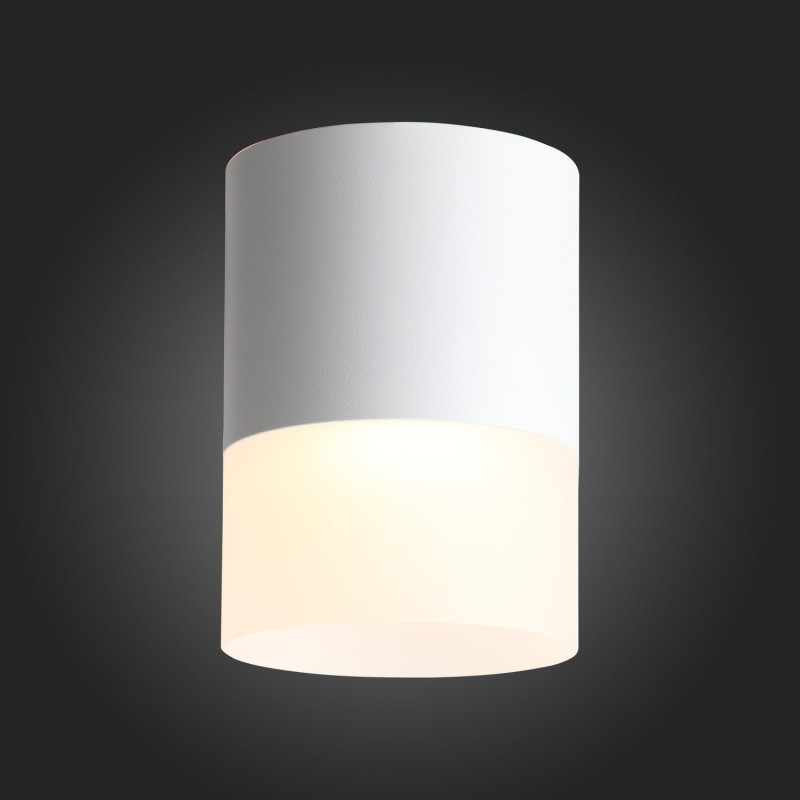 Потолочный светодиодный светильник ST Luce Ottu ST100.542.15