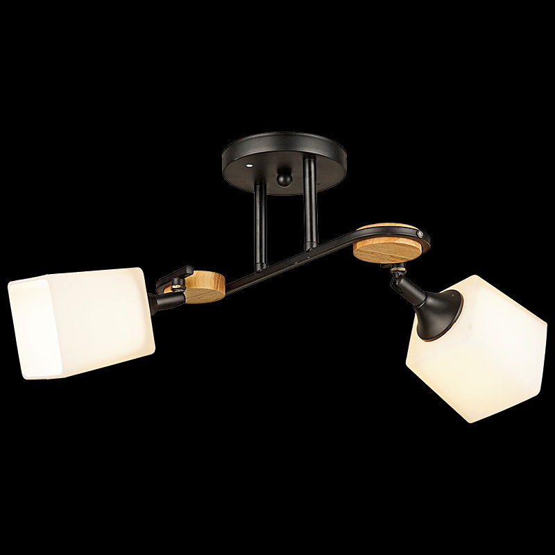 Потолочный светильник Reluce 04217-0.3-02 BK