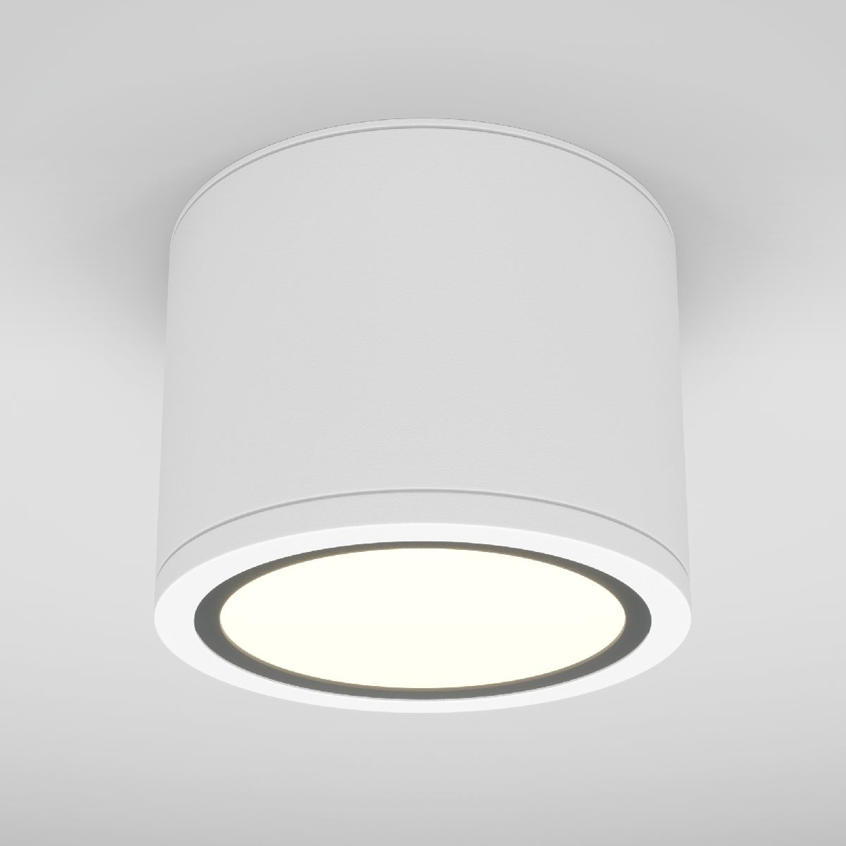 Накладной светильник Maytoni Rendo C095CL-GX53-W