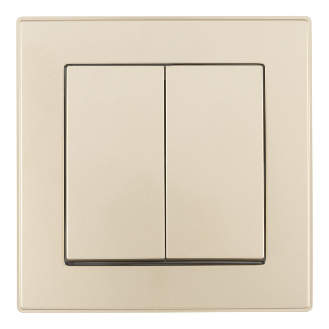 Выключатель двухклавишный Arte Milano SET06-1-30-2 shampan