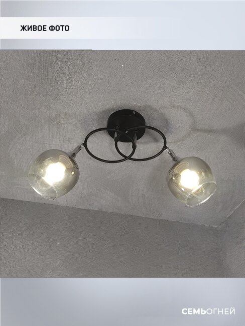 Потолочная люстра Wedo Light Vitero 66666.01.13.02