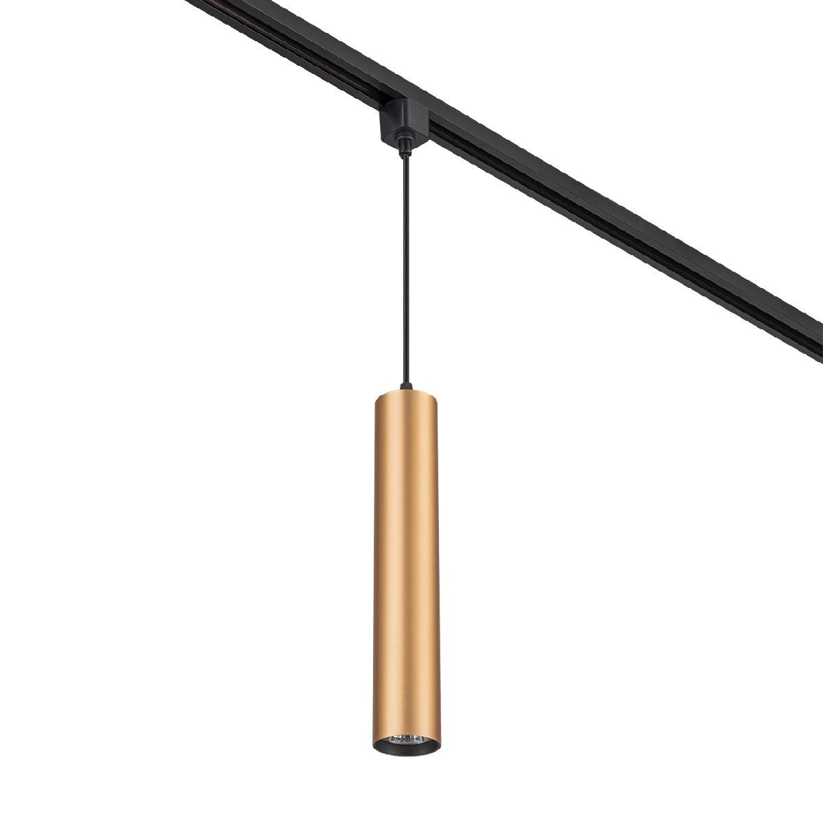 Трековый однофазный светильник Escada 20001TRP/01 BR