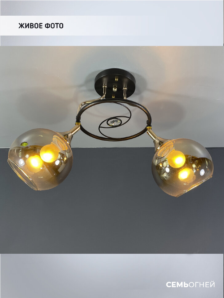 Потолочная люстра Wedo Light Zofi 66757.01.15.02