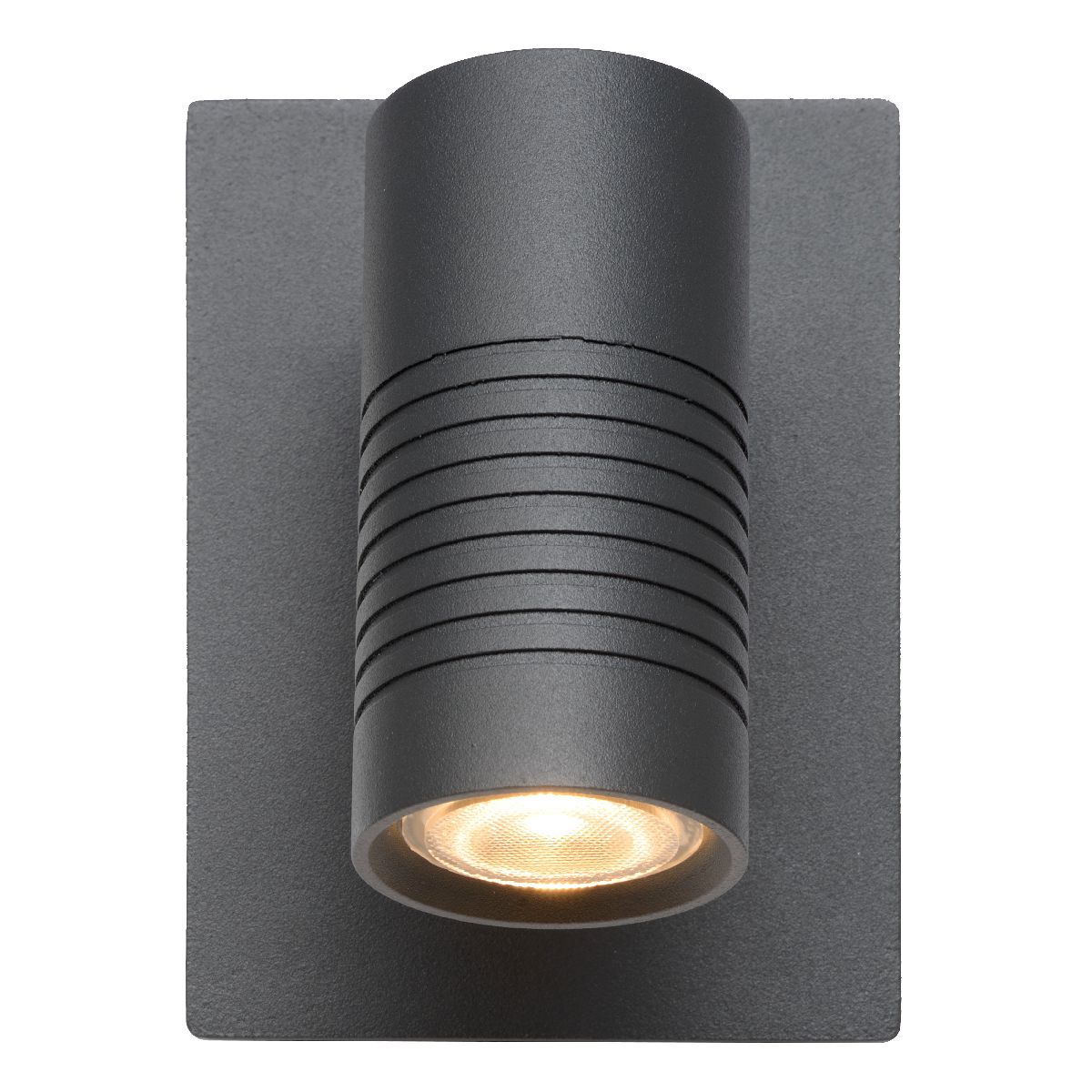 Уличный настенный светильник Lucide Bran 27817/07/29