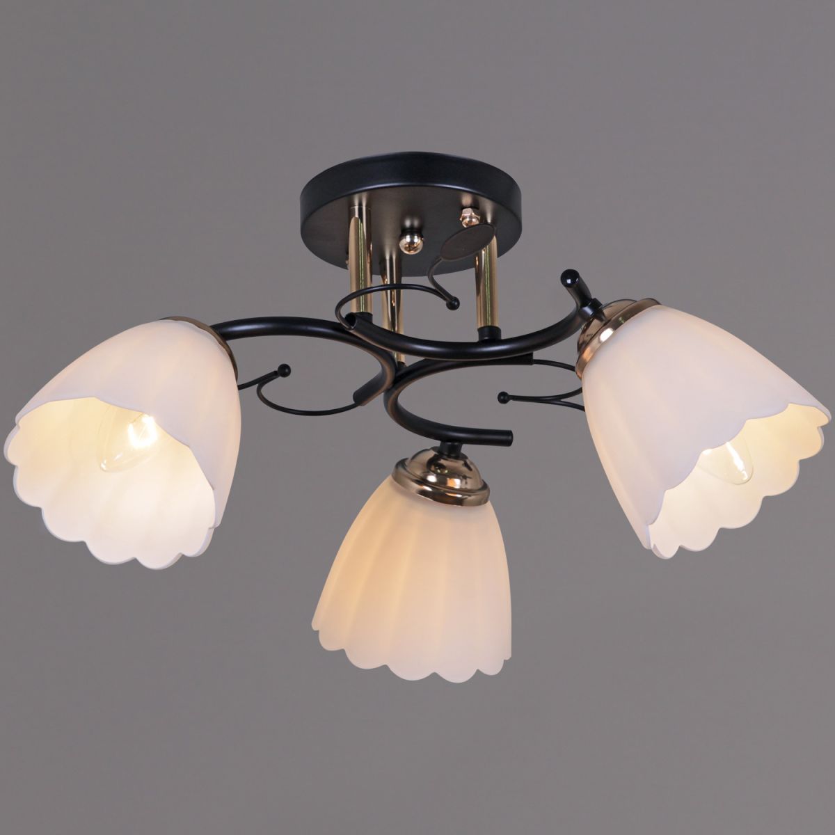 Потолочная люстра Reluce 10134-0.3-03 BK+FG