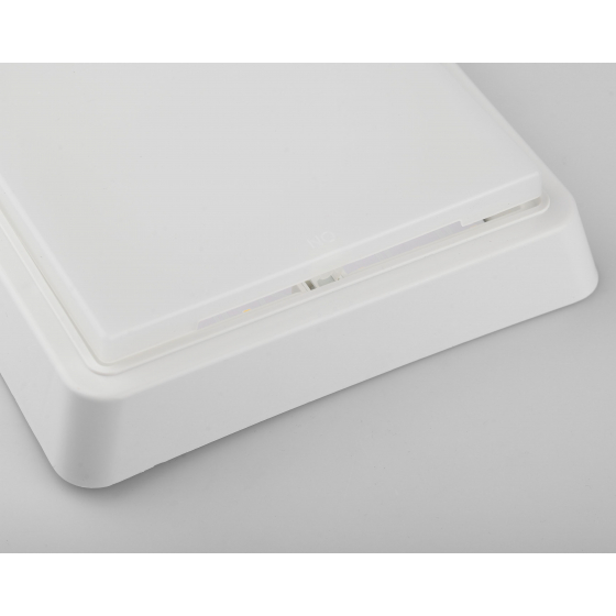 Настенно-потолочный светильник ЭРА SPB-4-10-4K Б0036420