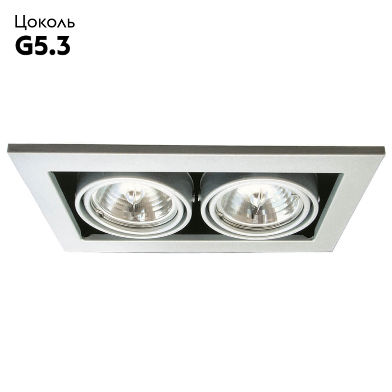 Встраиваемый светильник Arte Lamp Technika A5930PL-2SI