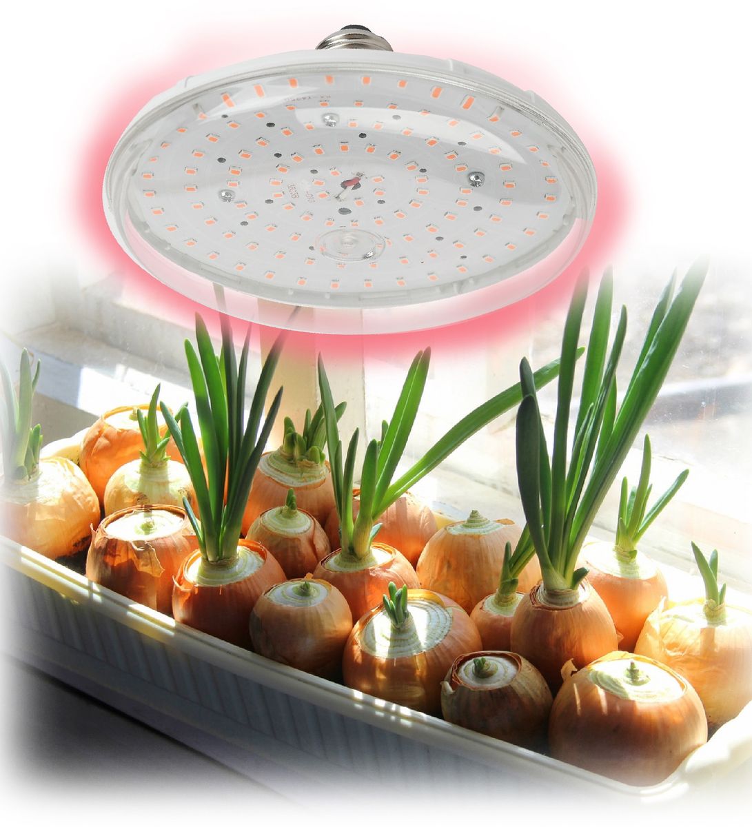 Фитолампа для растений светодиодная ЭРА E27 18W 2370K FITO-18W-RB-E27 Б0049533