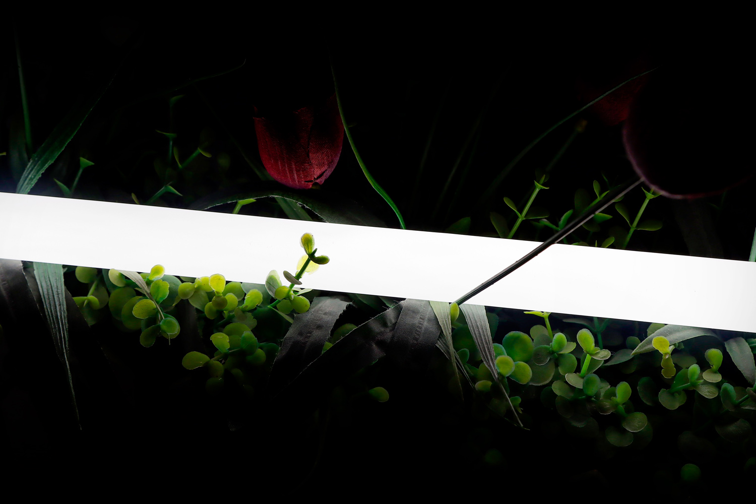 Светодиодная лента SWG 2835 360 LED/м 16 Вт/м 24В 4000K IP66 013284