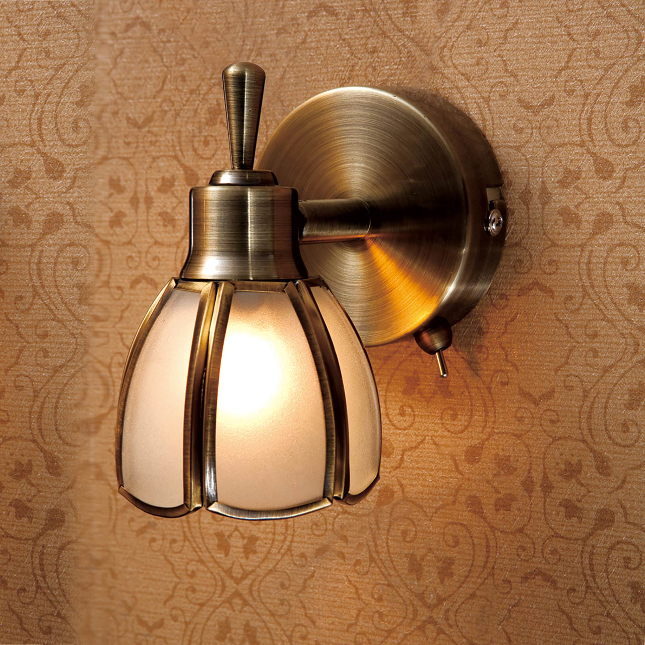 Спот Citilux Альтен CL522511