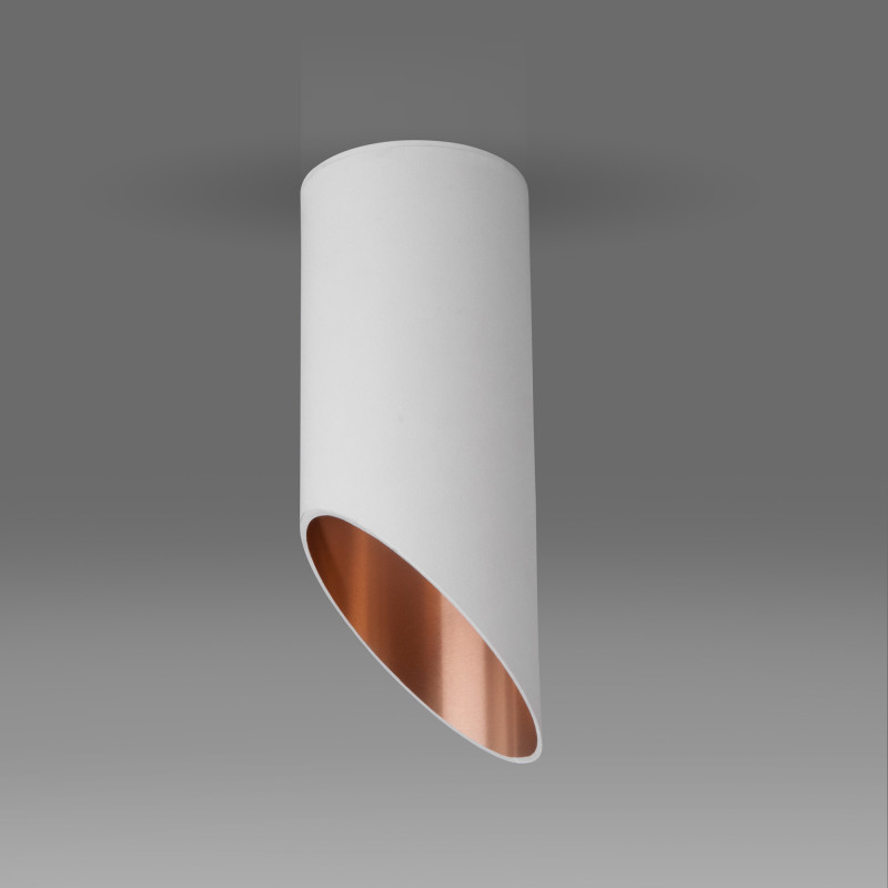 Точечный потолочный светильник Elektrostandard DLN114 GU10 белый/золото a050119