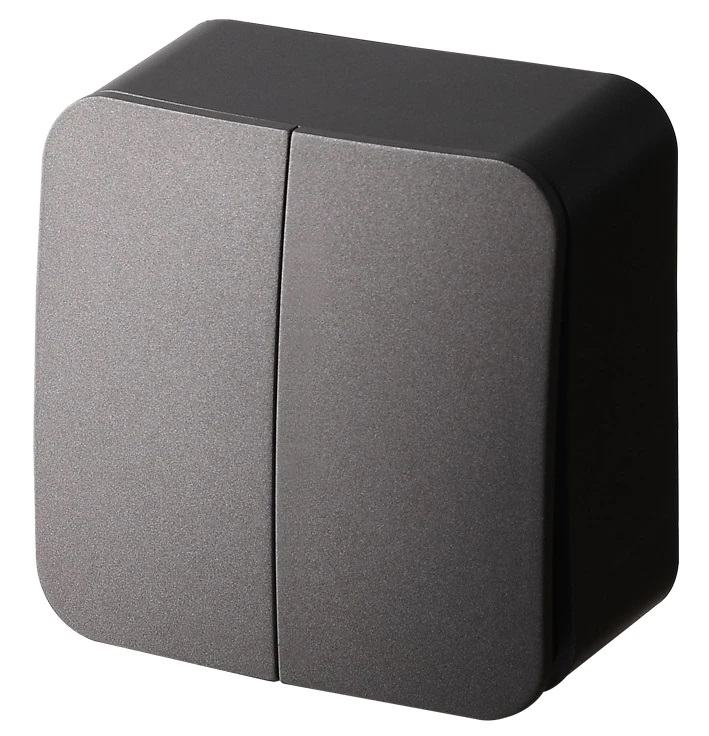 Выключатель 2-клавишный Jasmart FS FS3023B