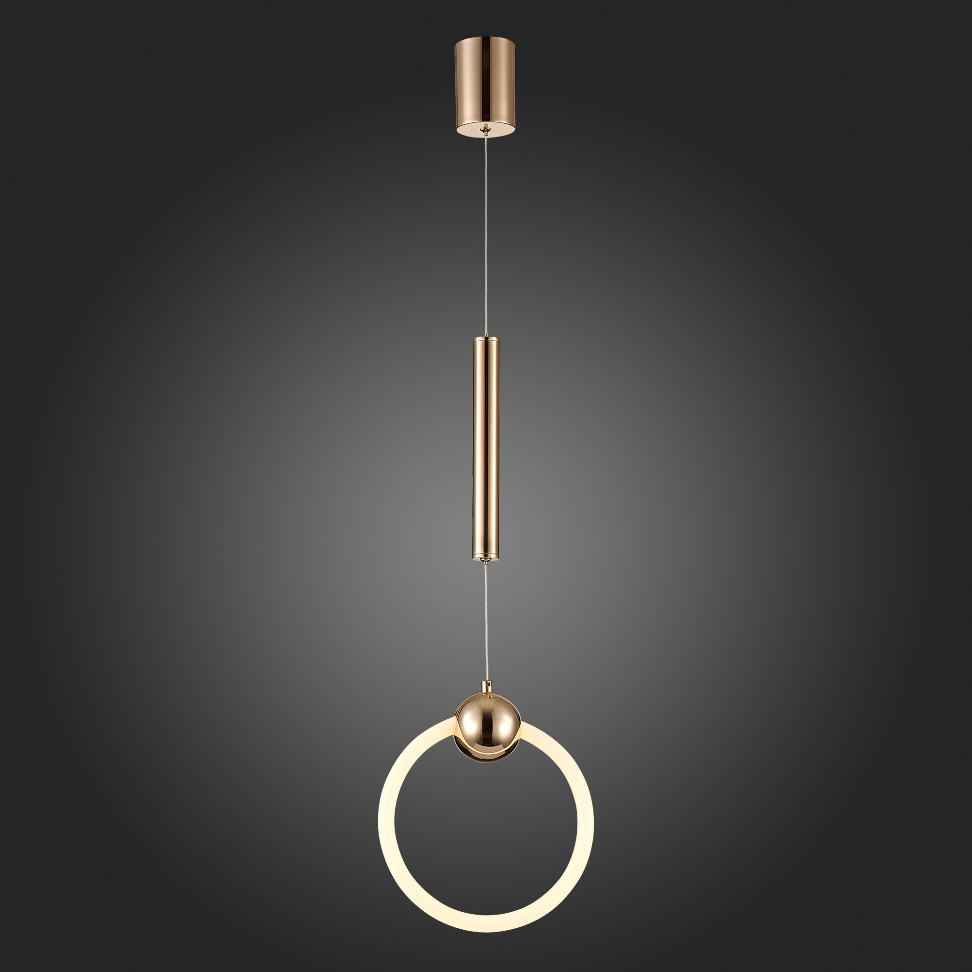 Подвесной светодиодный светильник ST Luce Giera SL1578.203.01