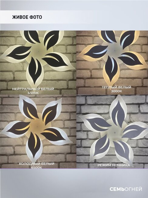 Потолочная люстра Wedo Light Omenya 75391.01.09.05