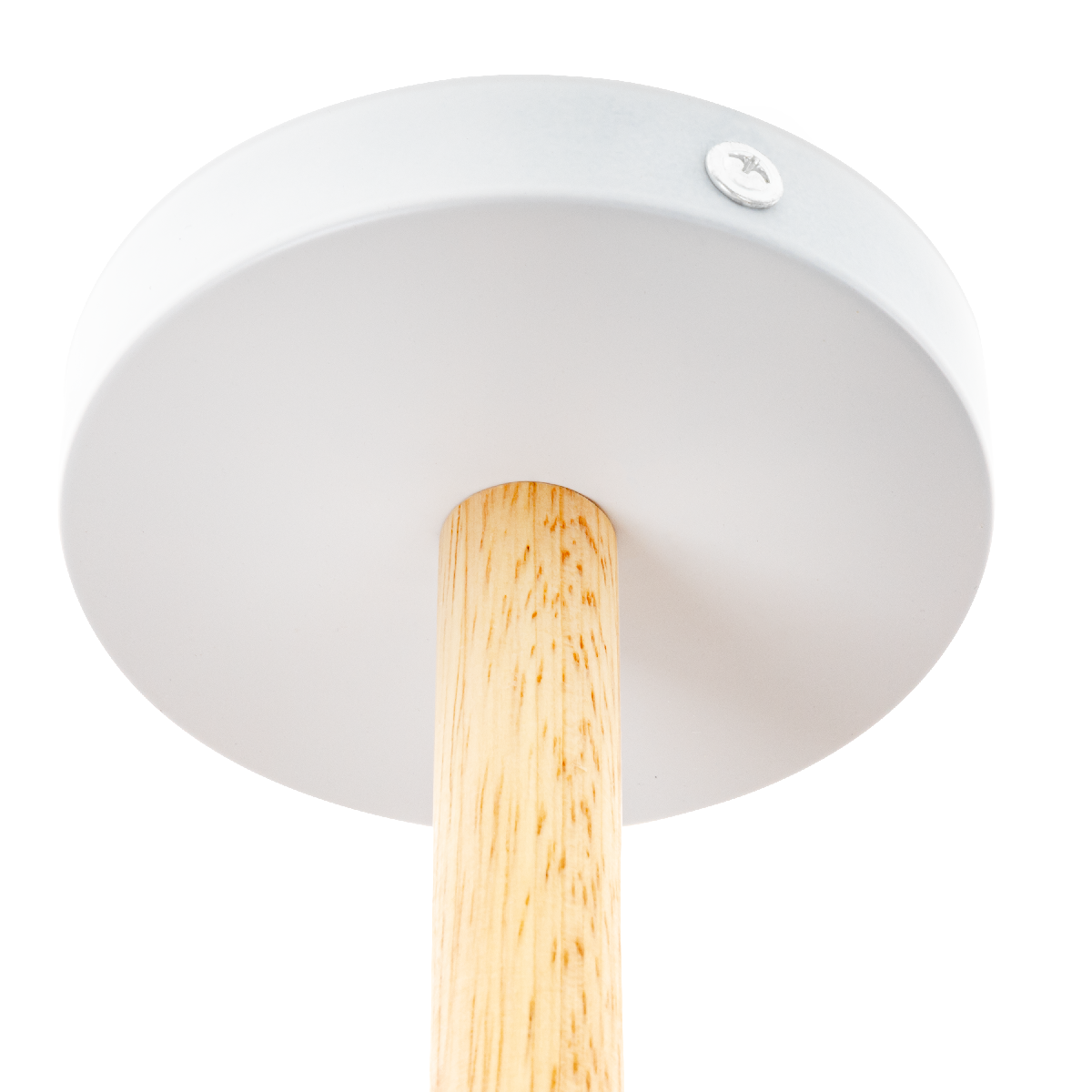 Люстра на штанге Ritter Volante 52596 7