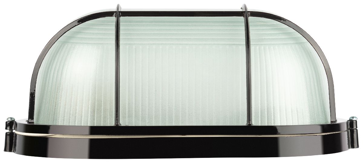 Настенно-потолочный светильник Эра Акватермо НБП 04-100-002 Б0063913