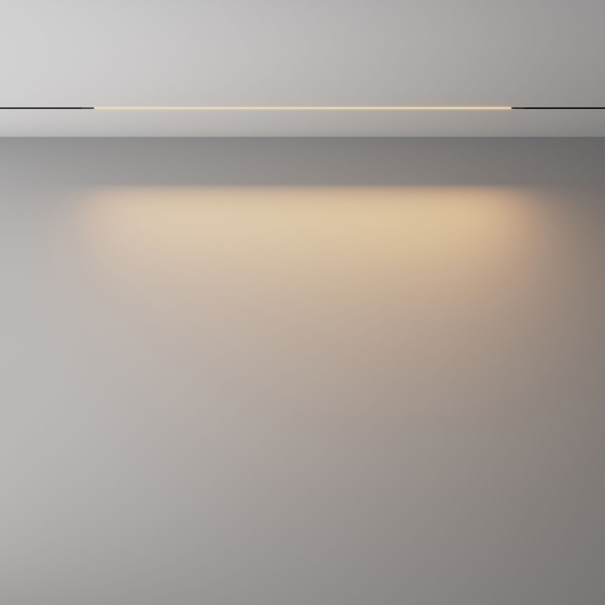 Трековый магнитный светильник Maytoni Technical Basis Exility X TR240-2-18W3K-B