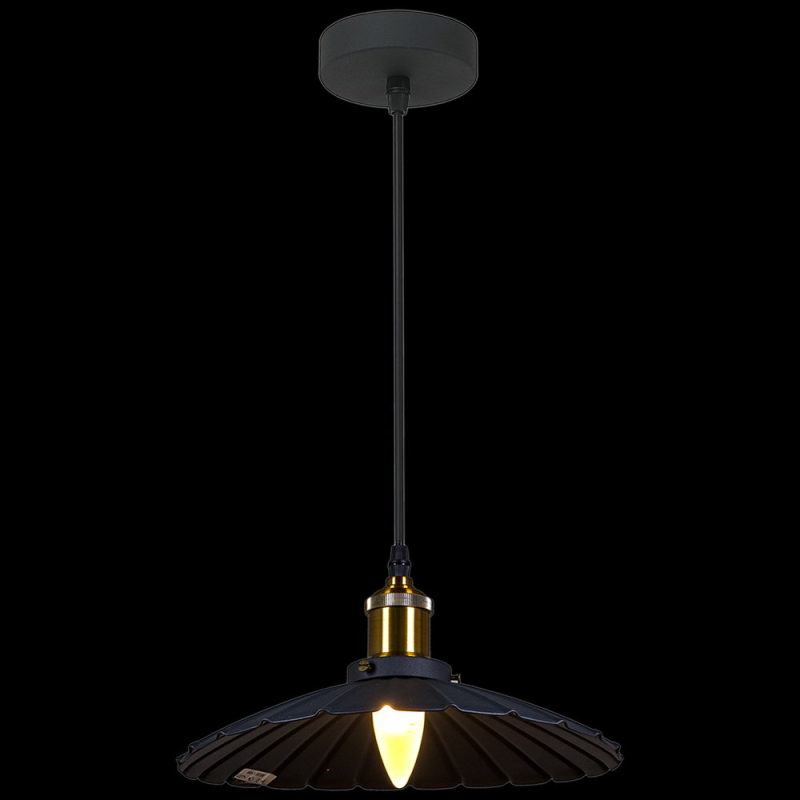 Подвесной светильник Reluce 08160-0.9-01SS BK