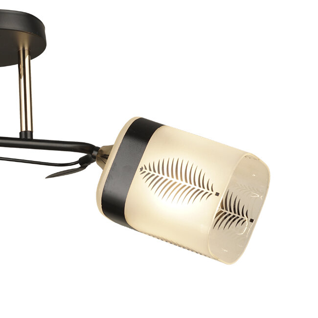 Потолочная люстра Wedo Light Amisa 66733.01.69.02