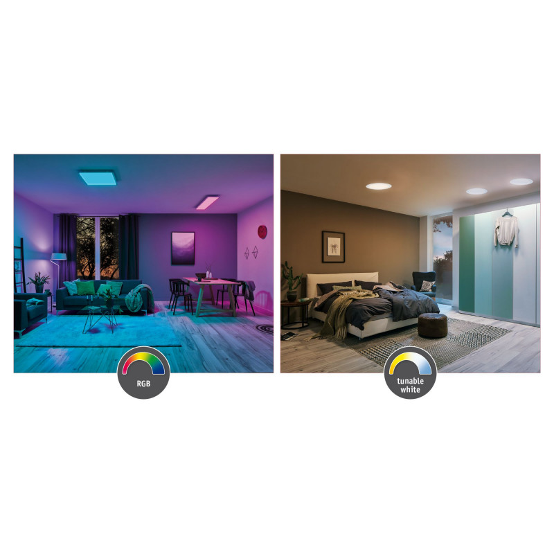 Накладной светильник Paulmann 79806