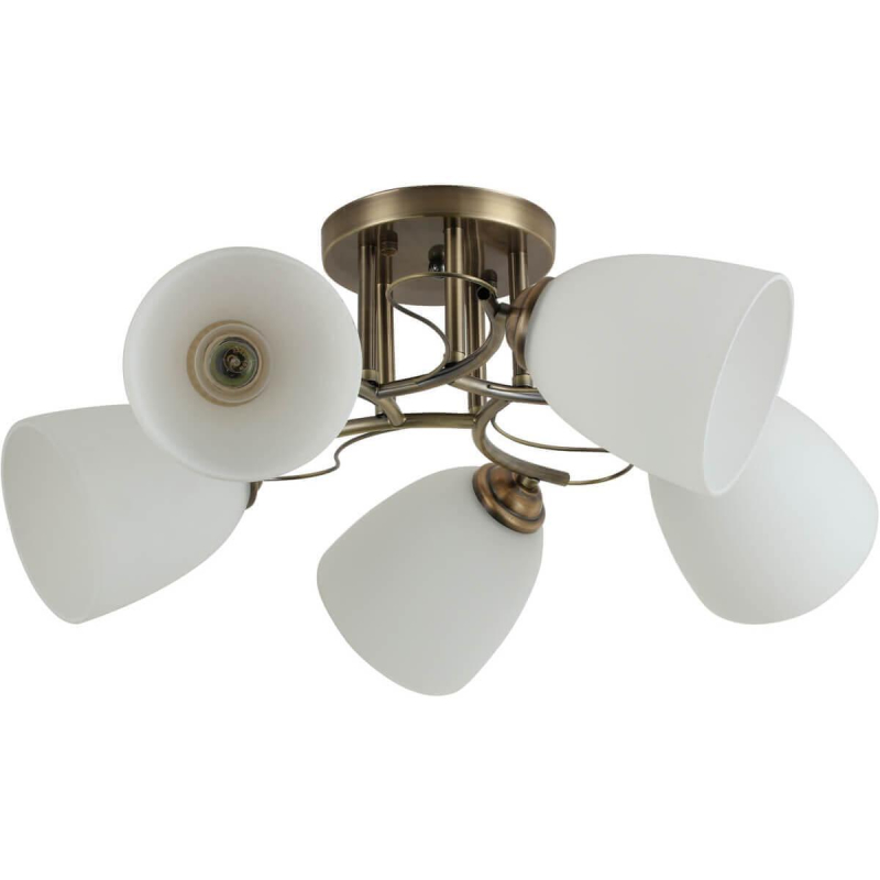 Потолочная люстра Rivoli Carlo 9005-305 Б0044453