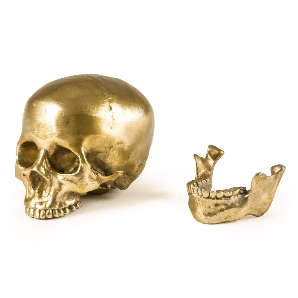 Статуэтка Human Skull Seletti Wunderkammer 10891