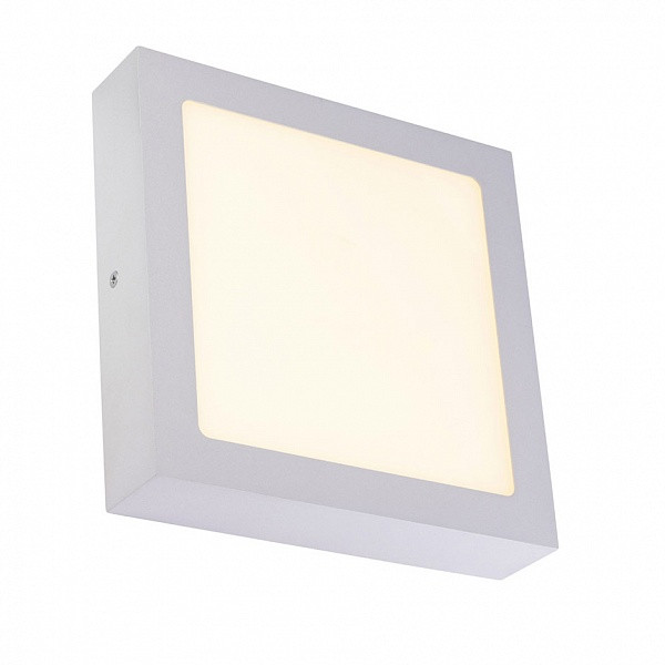 Накладной светильник SLV 163013