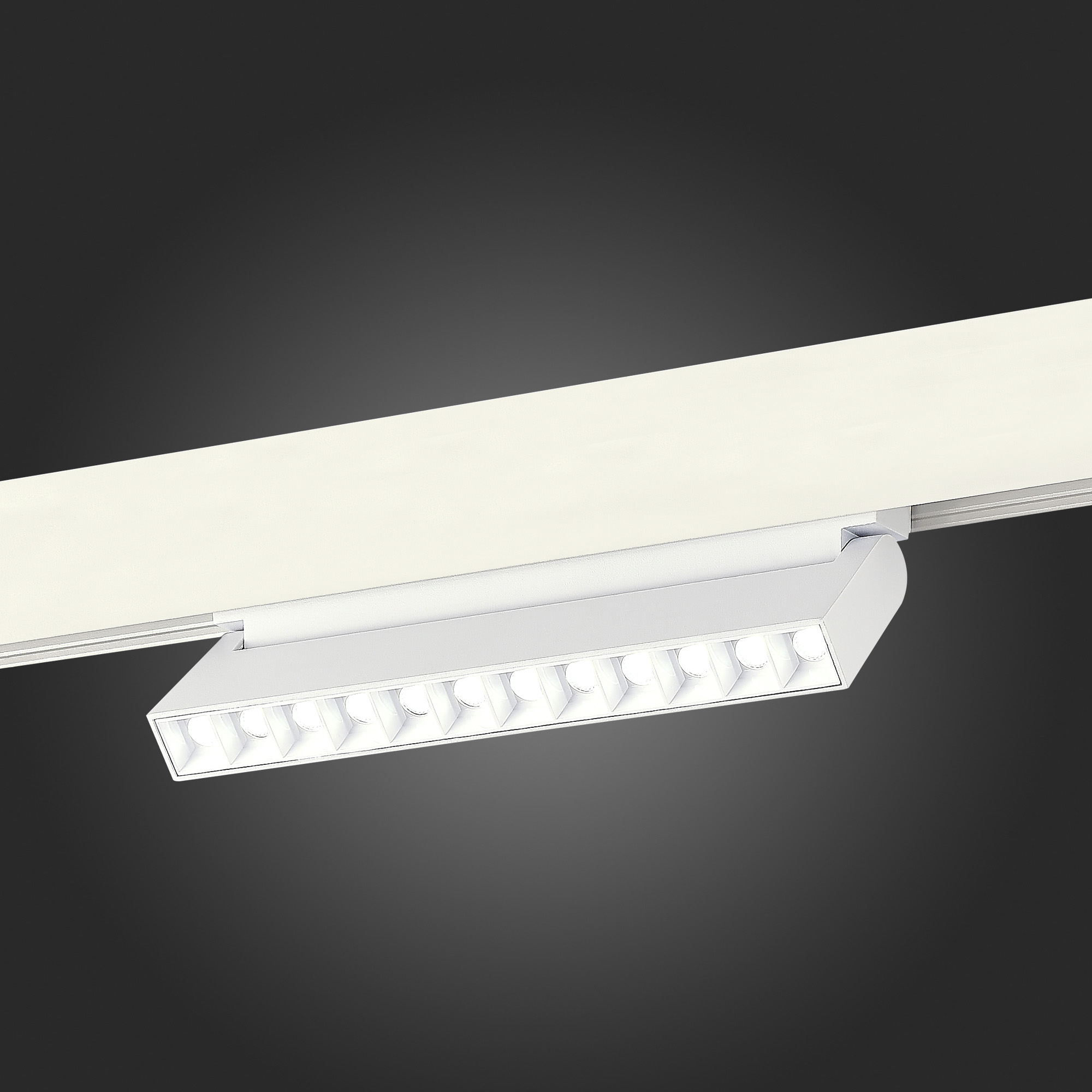 Трековый светильник ST Luce Skyline 48 ST372.506.12