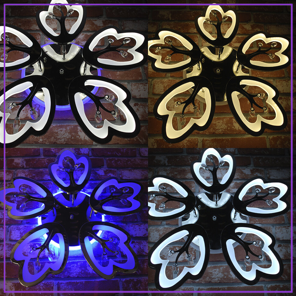 Потолочная люстра Wedo Light Dominica 75306.01.03.05