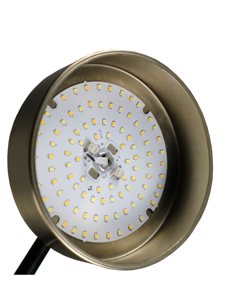 Люстра на штанге Zortes Lunar ZRS.01243.06