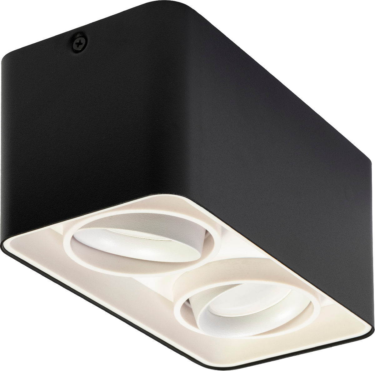 Накладной светильник Ritter Arton 51408 4