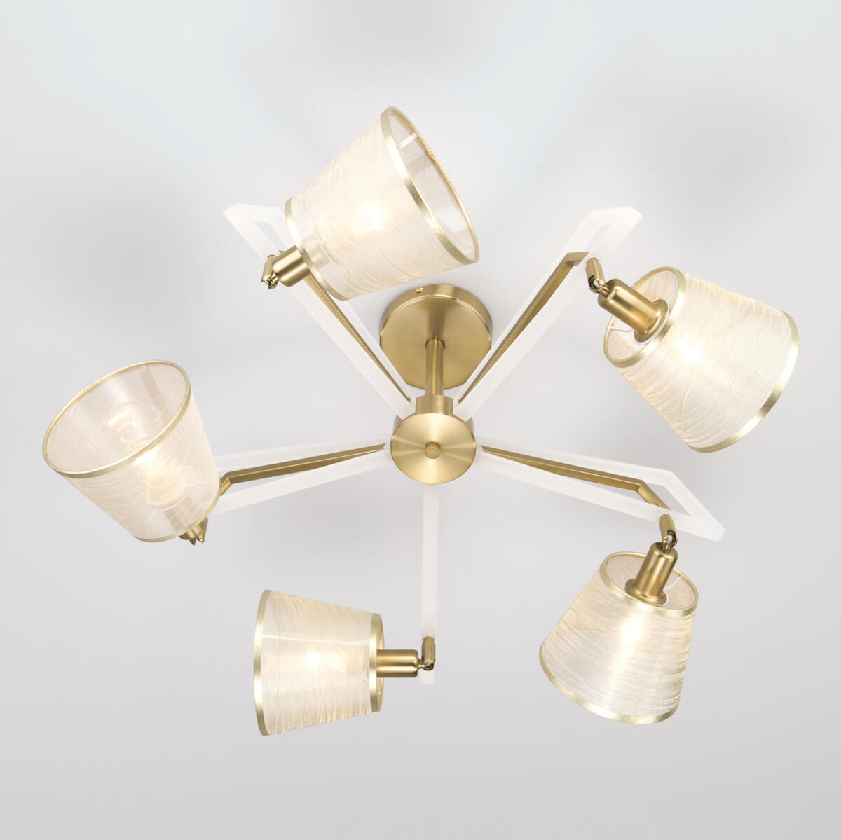 Потолочная люстра Eurosvet Alicante 60082/5 золотая бронза