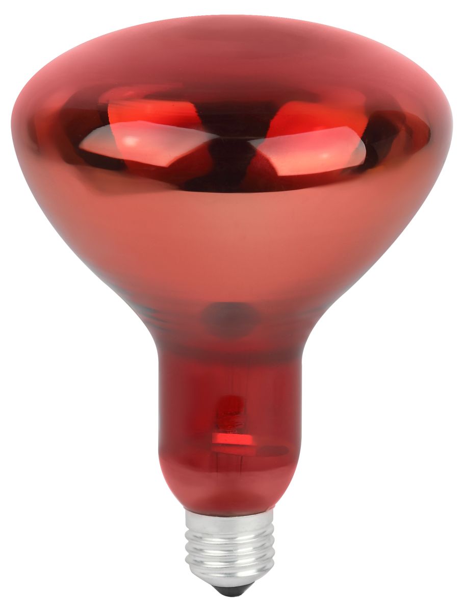 Инфракрасная лампа для обогрева животных Эра ИКЗК 230-150 R127 Б0042981