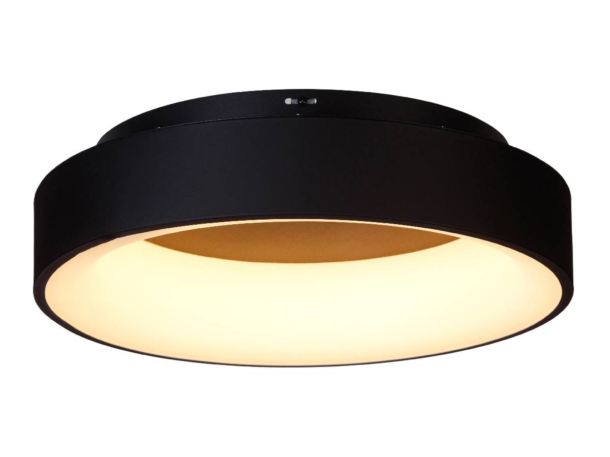 Потолочный светильник Myfar Shannon MR2193-1PL